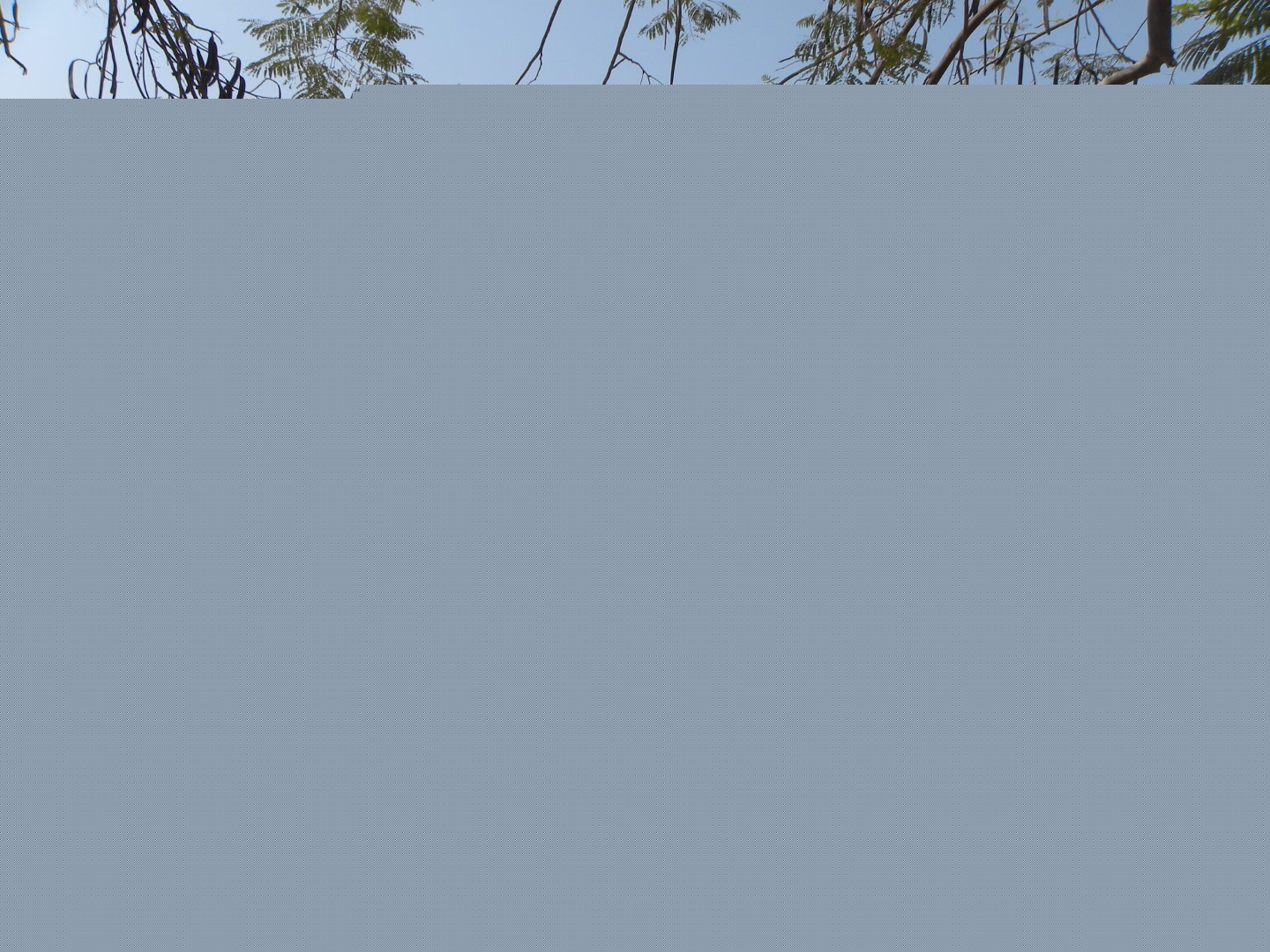 DSCN5939 (Grand)