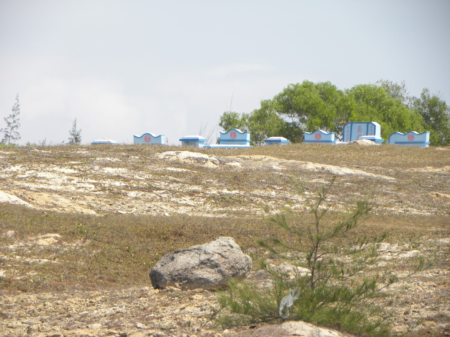 DSCN7114 (Grand)
