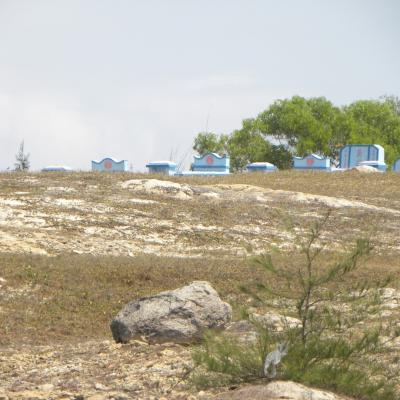 DSCN7114 (Grand)