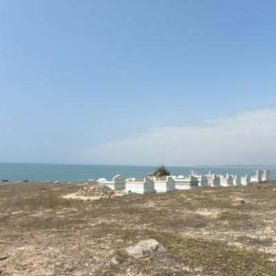 DSCN7118 (Grand)