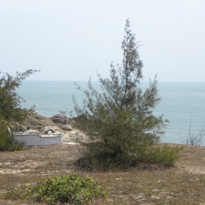 DSCN7124 (Grand)
