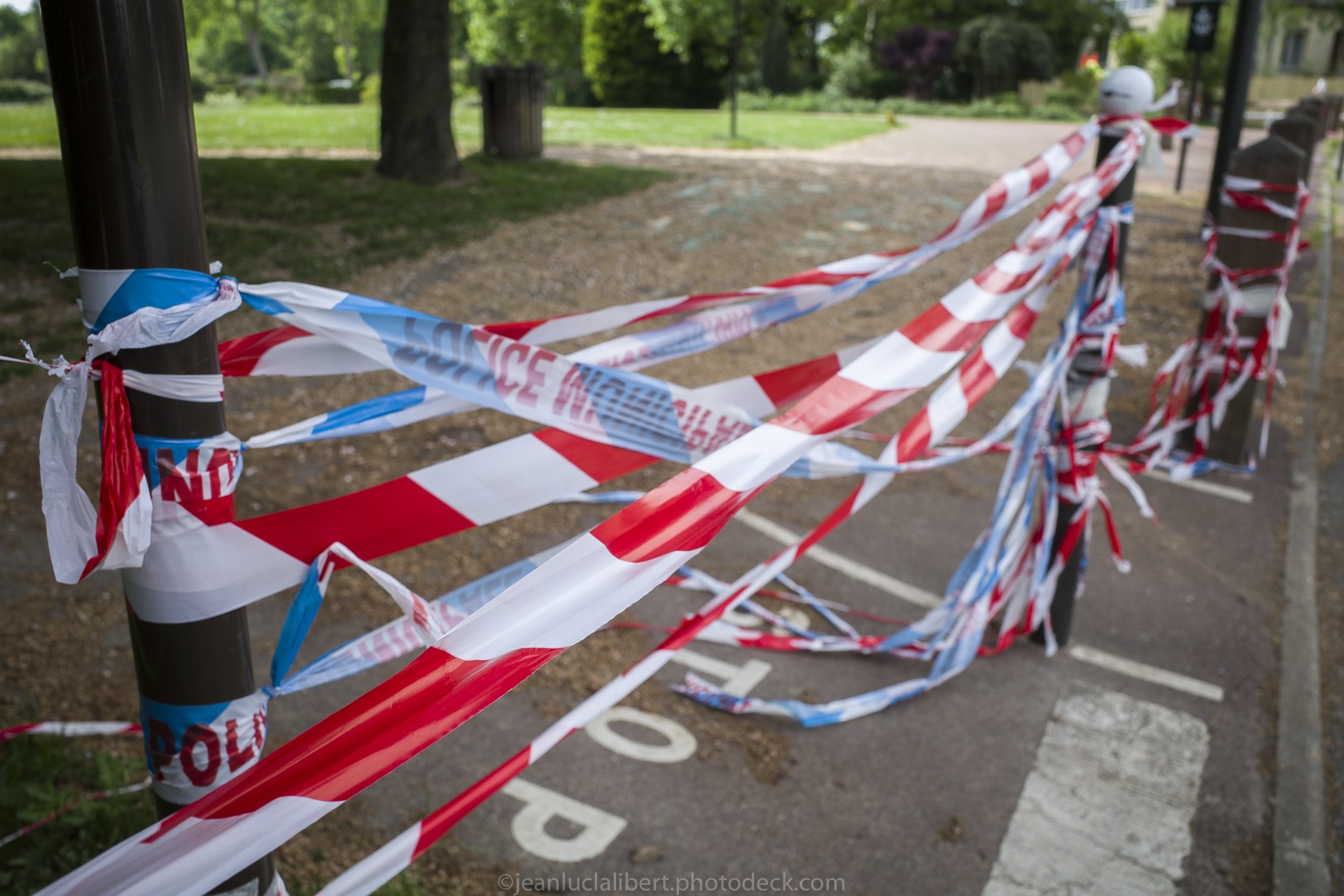 Interdit meme aux chiens 